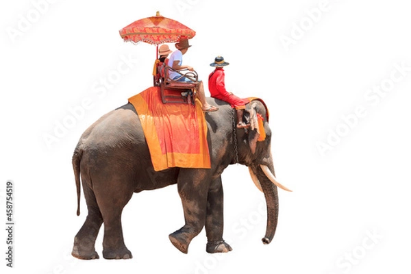 Obraz Tourists on an ride elephant tour of the ancient city isolated on white background with clipping path