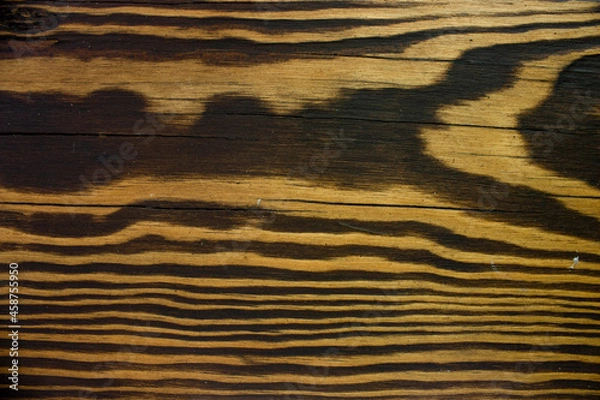 Obraz Texture of board