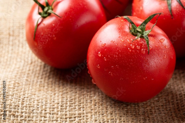 Obraz 新鮮なトマト