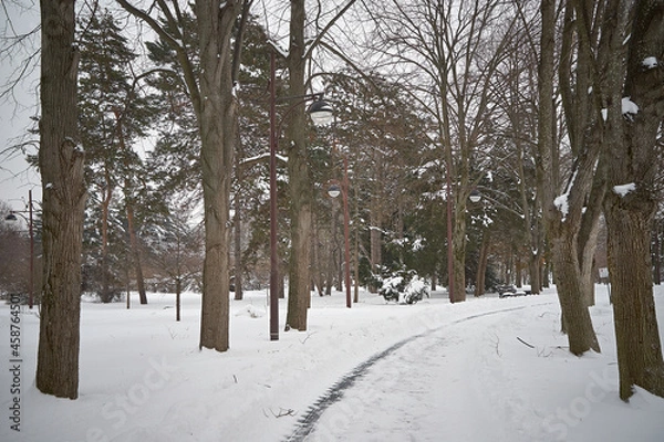 Obraz City park covered with snow.
