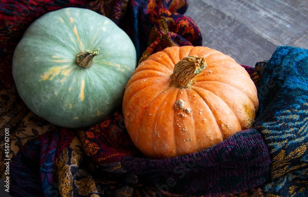 Obraz Bright fresh round-shaped pumpkins