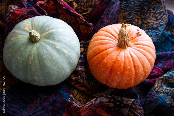 Obraz Bright fresh round-shaped pumpkins
