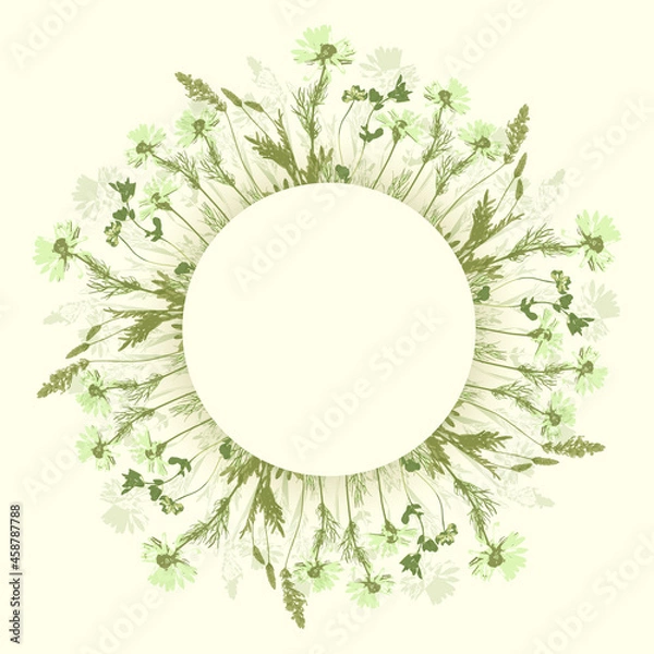 Obraz Round floral blank banner with chamomiles, field herbs and place for text. Green, grassy vector frame - border.