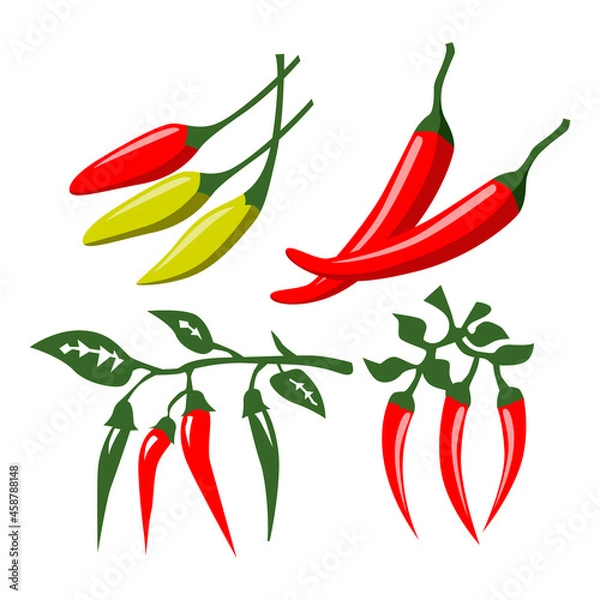 Obraz red chili illustration, a simple vector design
