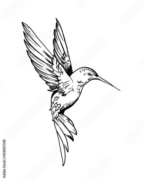 Obraz Hummingbirds are birds native to the Americas and constituting the biological family Trochilidae. Hummingbird art