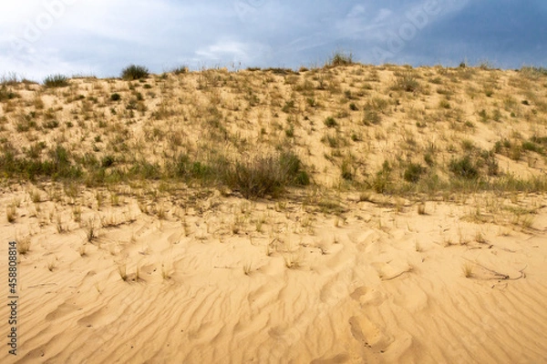 Obraz Yellow sandy rampart in the desert with bunches of low grass