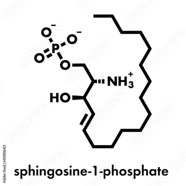 Fototapeta Sphingosine-1-phosphate (S1P) signaling molecule. Skeletal formula.