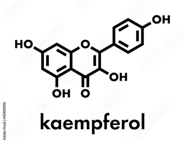 Fototapeta Kaempferol antioxidant molecule. Skeletal formula.