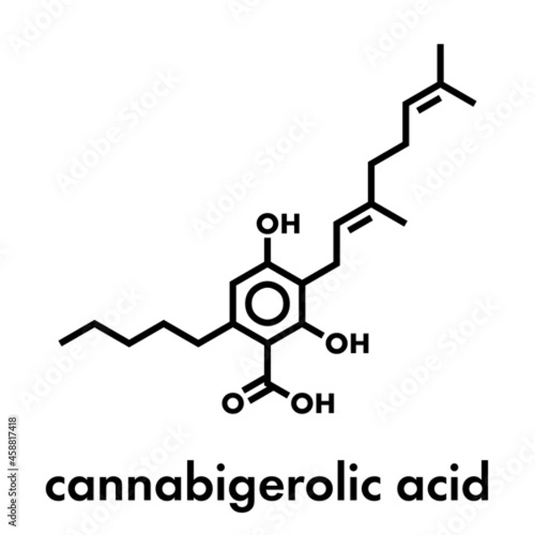 Fototapeta Cannabigerolic acid or CBGA cannabinoid molecule. Skeletal formula.