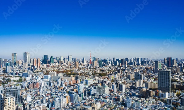 Fototapeta 東京　青空と都市風景