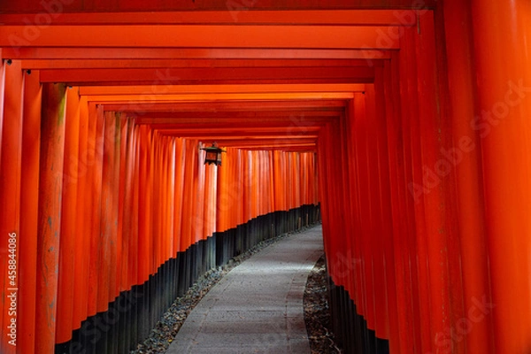 Obraz 千本鳥居