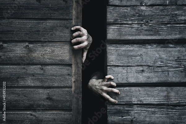 Fototapeta Zombie hands rising out from gap. Old wooden barn. Close up. Darkness horror and halloween background concept.
