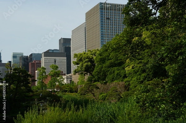 Fototapeta 時々妻と出かける日比谷公園。何の目的もなくただゆっくりする為だけに車で出かける日比谷公園。　今日は一人でゆっくり歩いてきました、