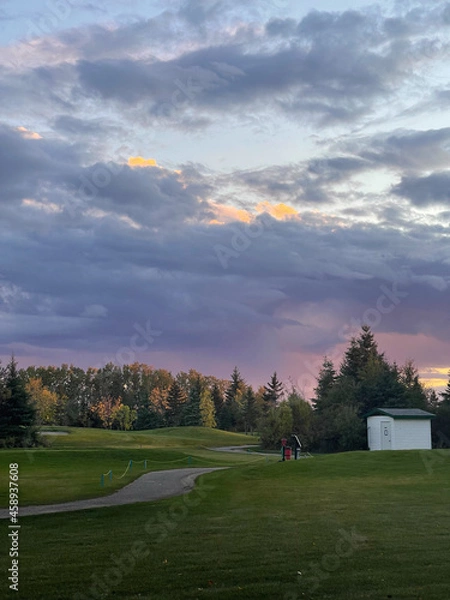 Obraz sunset in the park