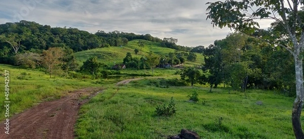 Obraz Farm landscape