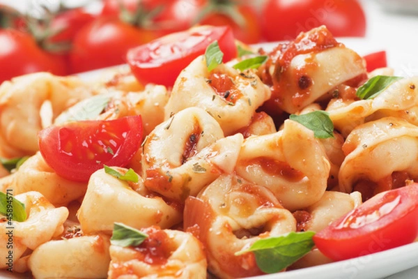 Obraz Tortellini pasta