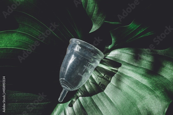 Obraz Transparent silicone menstrual cup on a background of green leaves.feminine health and alternative hygiene.zero waste,reusable,menstruation. Ecofriendly, sustainable, ecological.