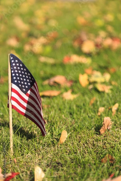 Obraz Stars and Stripes