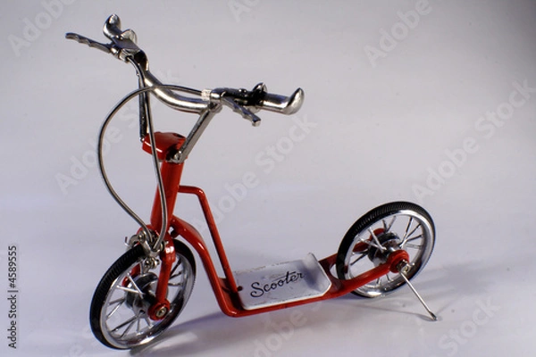 Obraz bici 1