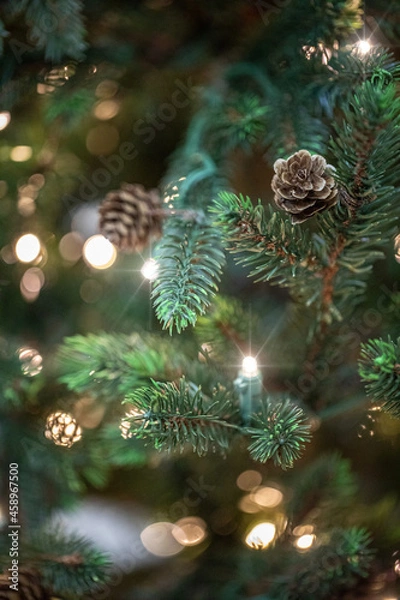 Fototapeta branches of a Christmas tree with cones and garlands