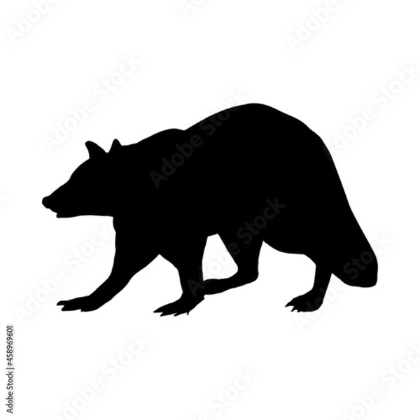 Fototapeta Silhouette of an animal raccoon isolated on a white background.Vector illustration, profile view.