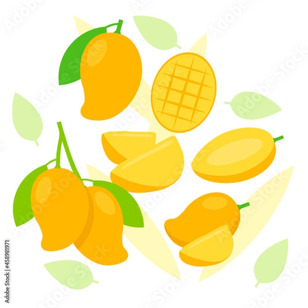 Obraz Ripe Mango elements abstract vector design background