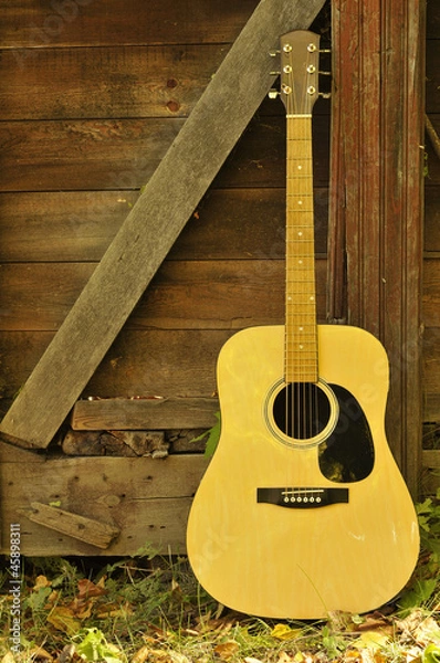 Obraz Barndoor Guitar