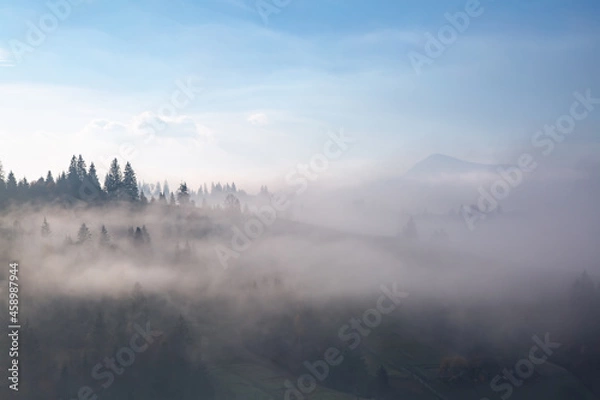 Fototapeta Amazing foggy morning. Landscape with high mountains. Forest of the pine trees. The early morning mist. Touristic place. Natural scenery.