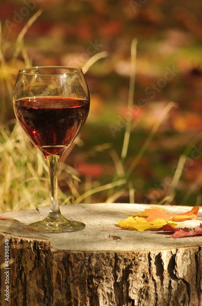 Obraz Red Wine In Filtered Sun