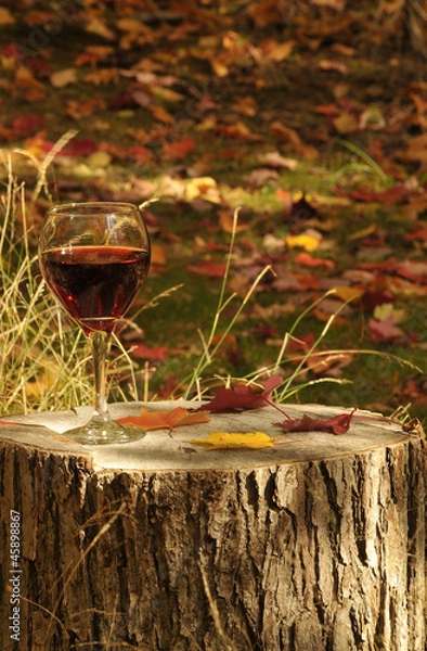 Obraz Red Wine On Red Pine Stump