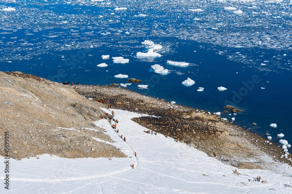 Fototapeta Group of tourists, view from the peak. Antarctica