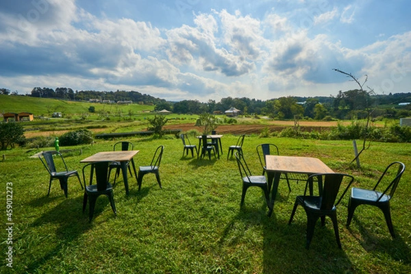 Fototapeta 丘の上の避暑地　クルックフィールズ