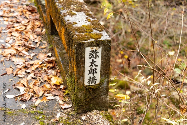 Obraz EOSRP.広島県龍頭峡、謎の弥太郎橋。