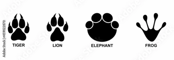 Fototapeta animal footprint icon set, animal footprint vector set