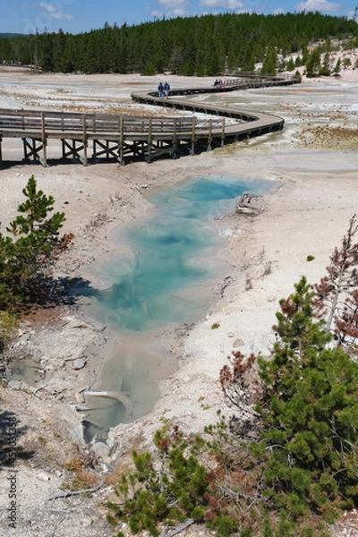 Obraz イエローストーン国立公園のノリスガイザー（Norris Geyser）のプール
