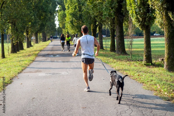 Fototapeta Run to the park with the dog on a leash