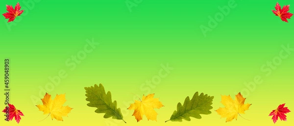 Fototapeta autumn leaves border