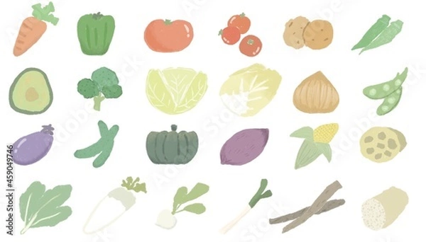 Obraz 緑黄色野菜や根菜、葉物野菜など収穫野菜の素材セット