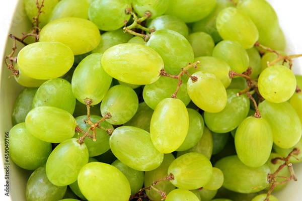 Fototapeta High angle view of bunches of white grapes 