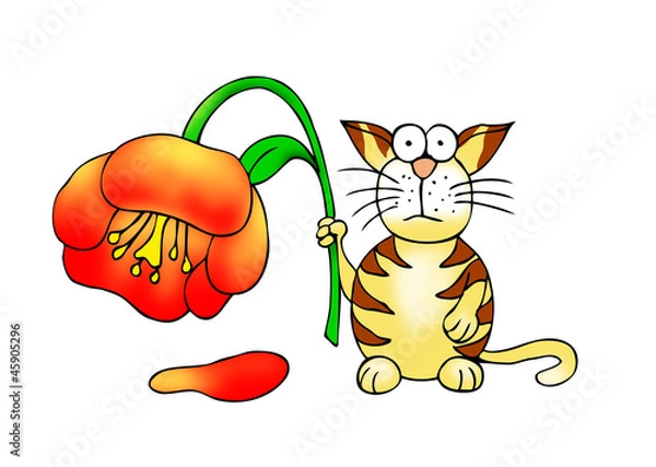 Obraz Kater mit Blume