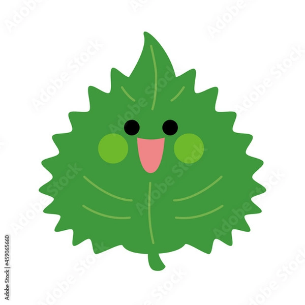 Fototapeta 野菜/大葉