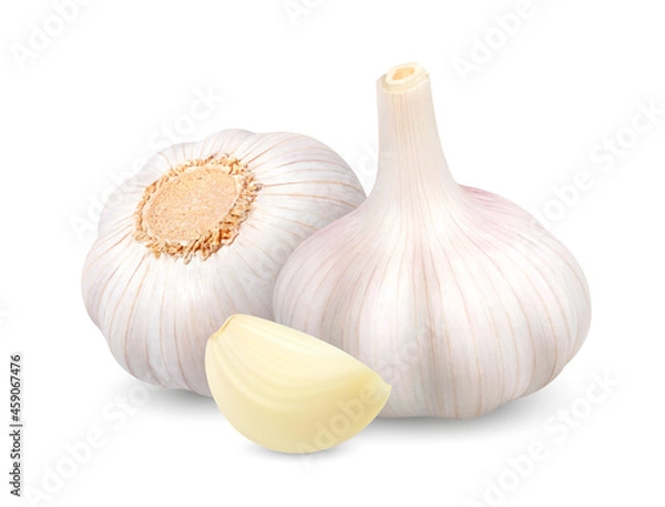 Obraz Garlic heads with clove. 3d Vector illustration isolated on white background