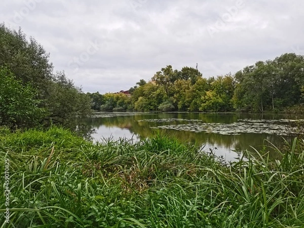Fototapeta lake and forest
