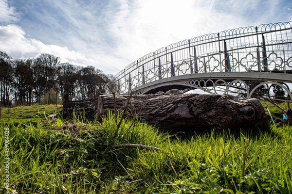 Obraz bridge over the river