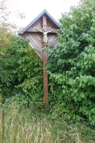 Fototapeta Landwirtschaft/ Feld