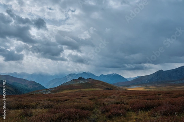Fototapeta Beautiful nature of the Altai mountains