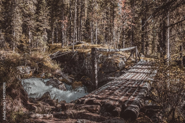 Fototapeta Bridge over the river in the forest of Siberia