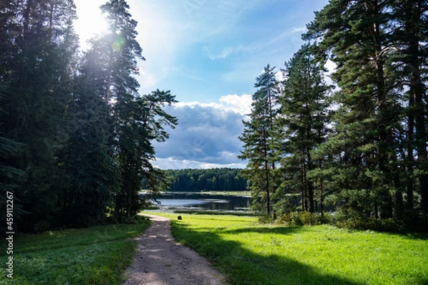 Obraz path in the park