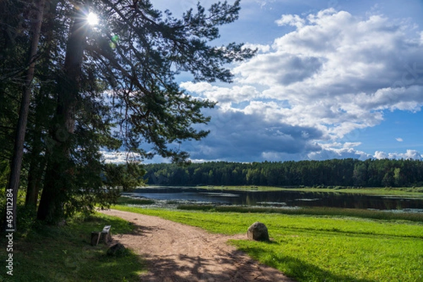 Obraz forest and river