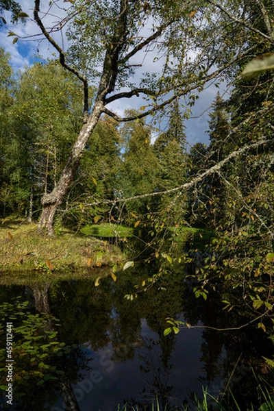 Obraz reflection in the water